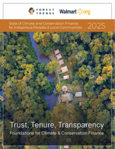 Publication Thumbnail